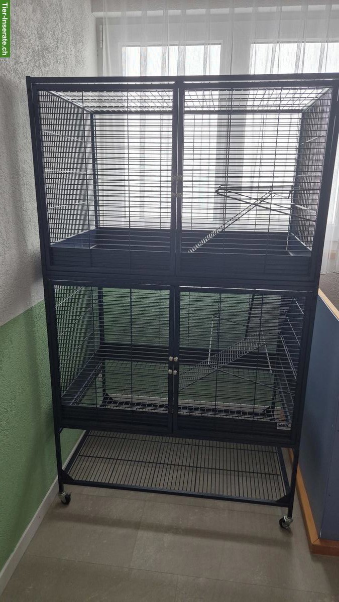 Savic Suite Royale 95 Double zu verkaufen