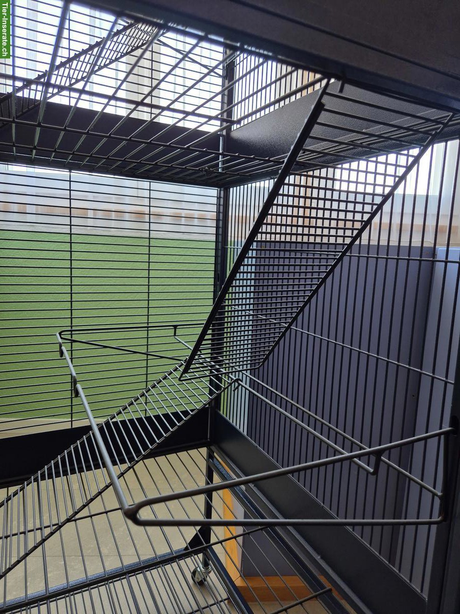 Bild 3: Savic Suite Royale 95 Double zu verkaufen