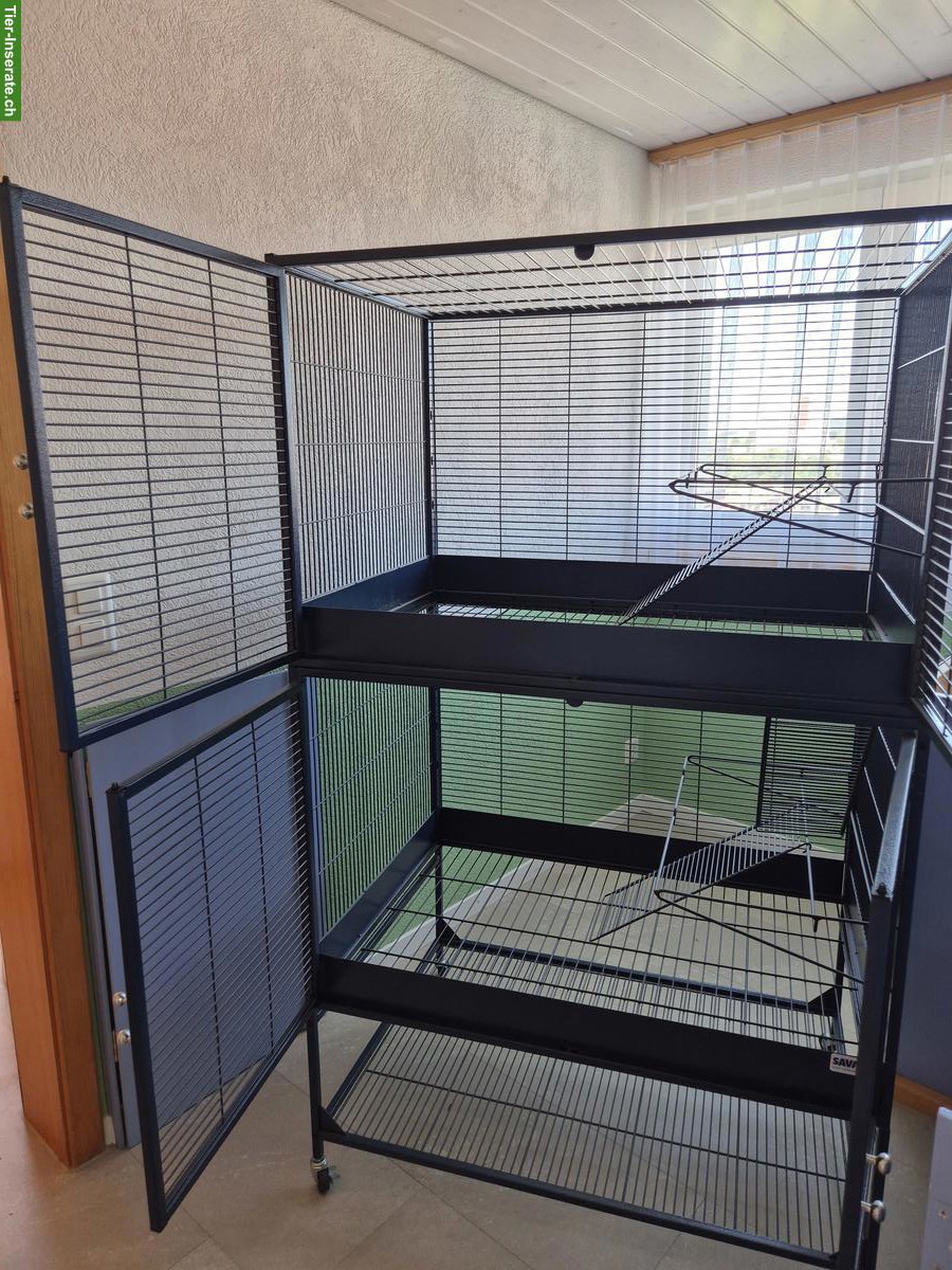 Bild 4: Savic Suite Royale 95 Double zu verkaufen