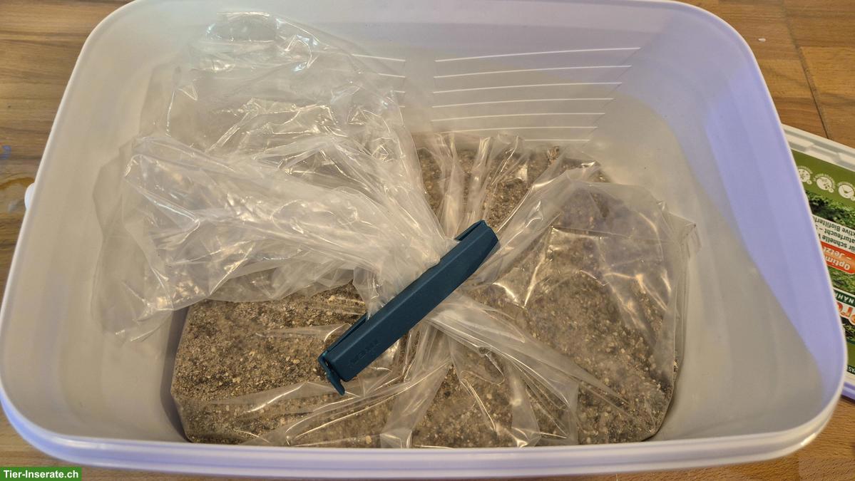 Bild 2: Deponit Mix Professional 9in1 zu verkaufen