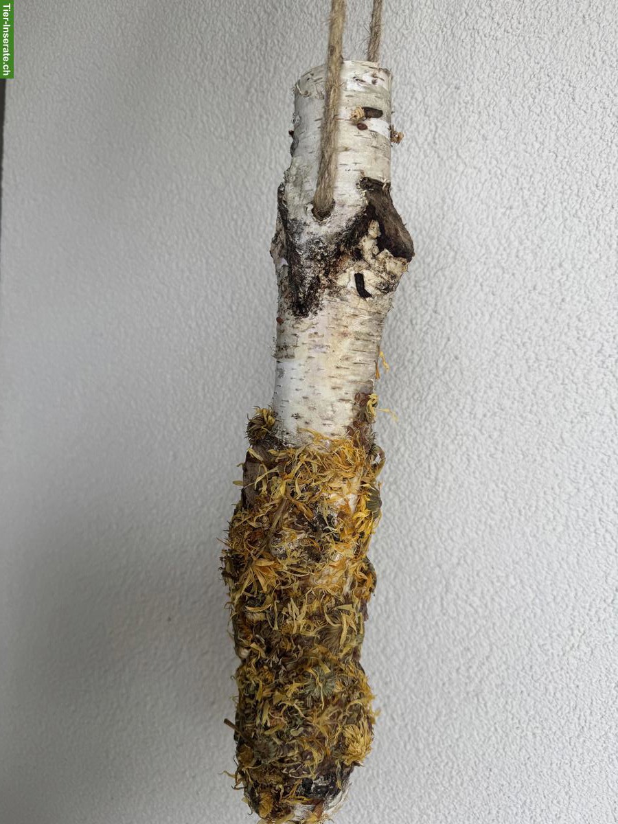 Natürlicher Knabberspass für Pferde, handgemacht