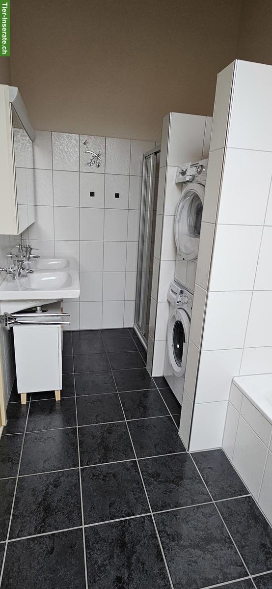 Bild 4: 🏡 Einfamilienhaus mit Wintergarten und Carport