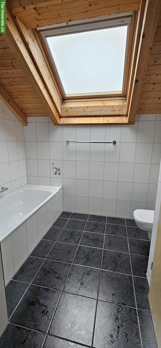 Bild 5: 🏡 Einfamilienhaus mit Wintergarten und Carport