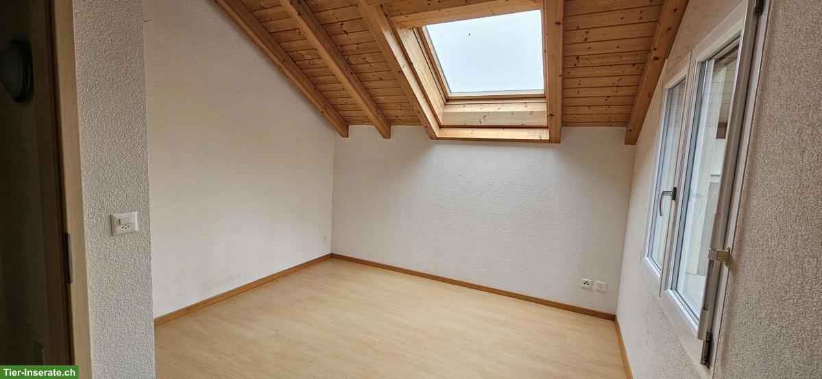 Bild 7: 🏡 Einfamilienhaus mit Wintergarten und Carport