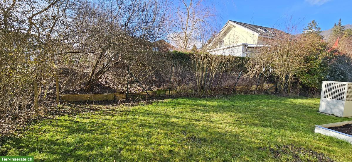 Bild 8: 🏡 Einfamilienhaus mit Wintergarten und Carport