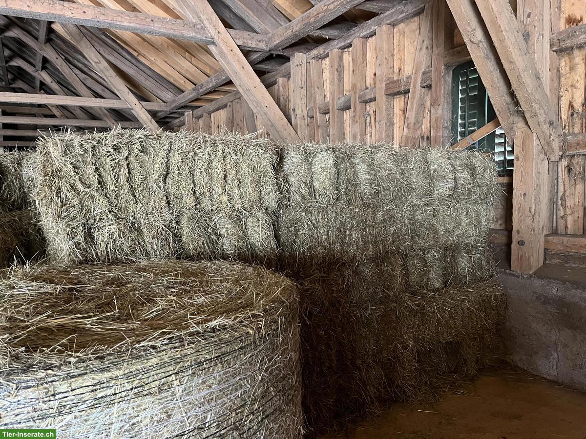 Heu Kleinballen, Pferdeheu zu verkaufen