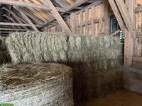 Heu Kleinballen, Pferdeheu zu verkaufen