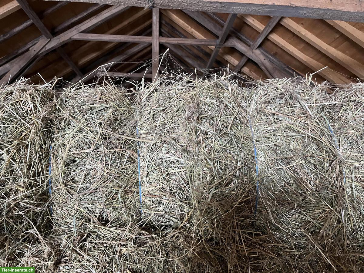 Bild 2: Heu Kleinballen, Pferdeheu zu verkaufen