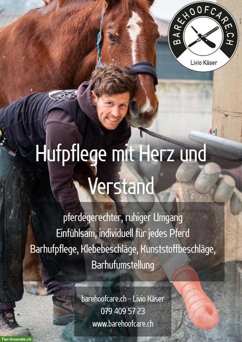 Biete Barhufpflege & Kunststoffbeschläge in der Deutschschweiz