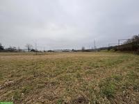 Weideland in der Region Olten für Schafe, Lamas, Alpakas