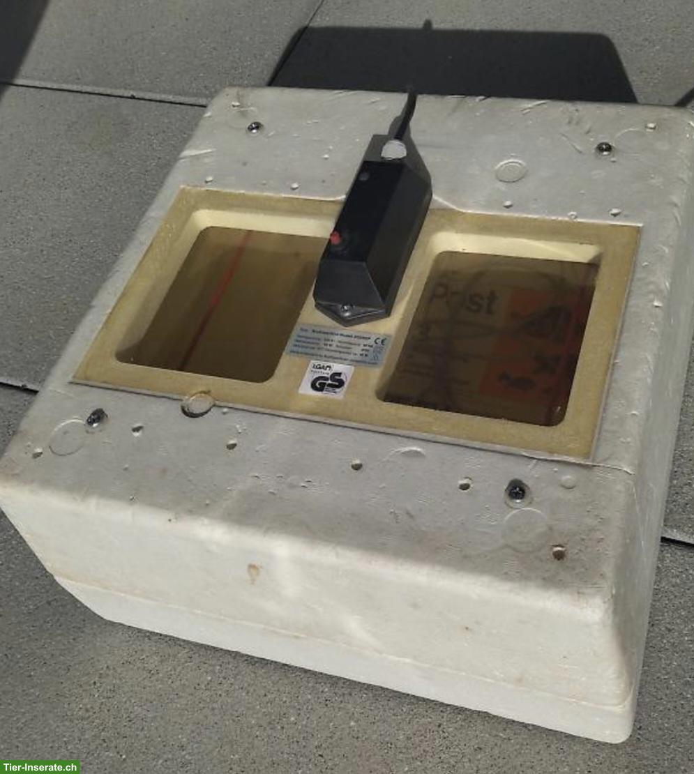 Bild 2: Schildkröten-Brutkasten und Heizkabel