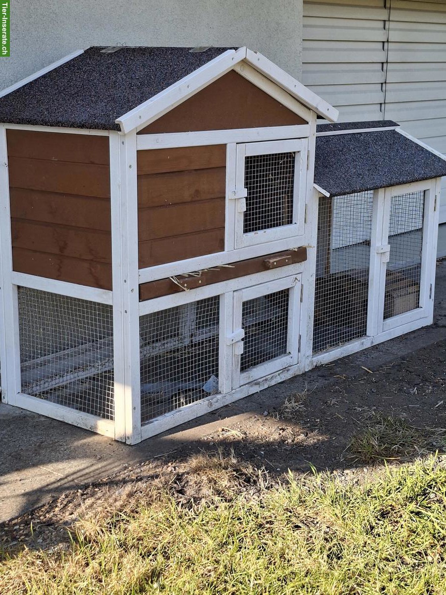 Bild 4: 2 Zwergkaninchen mit grossem Stall