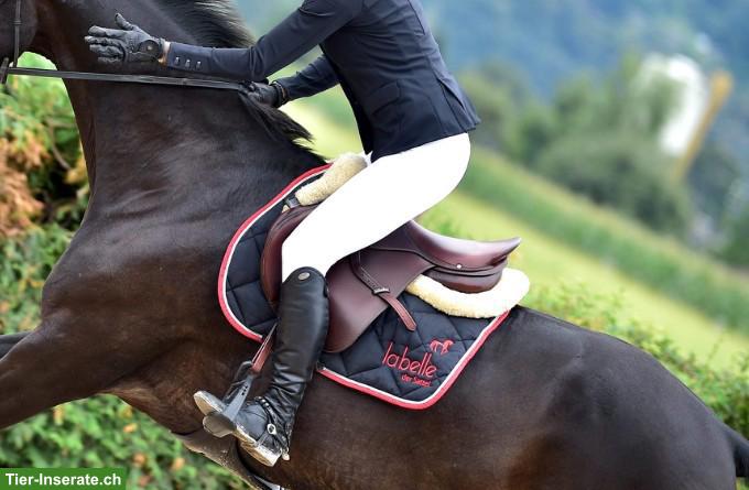 Bild 3: Labelle Springsattel 17 Zoll zu verkaufen