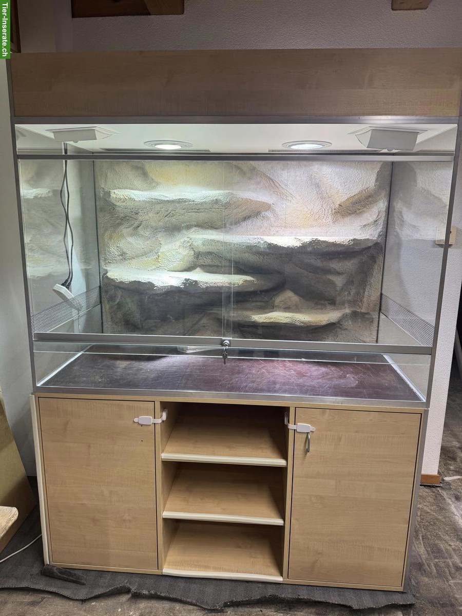 Exklusives Terrarium (Sonderanfertigung) zu verkaufen