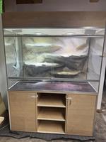 Exklusives Terrarium (Sonderanfertigung) zu verkaufen