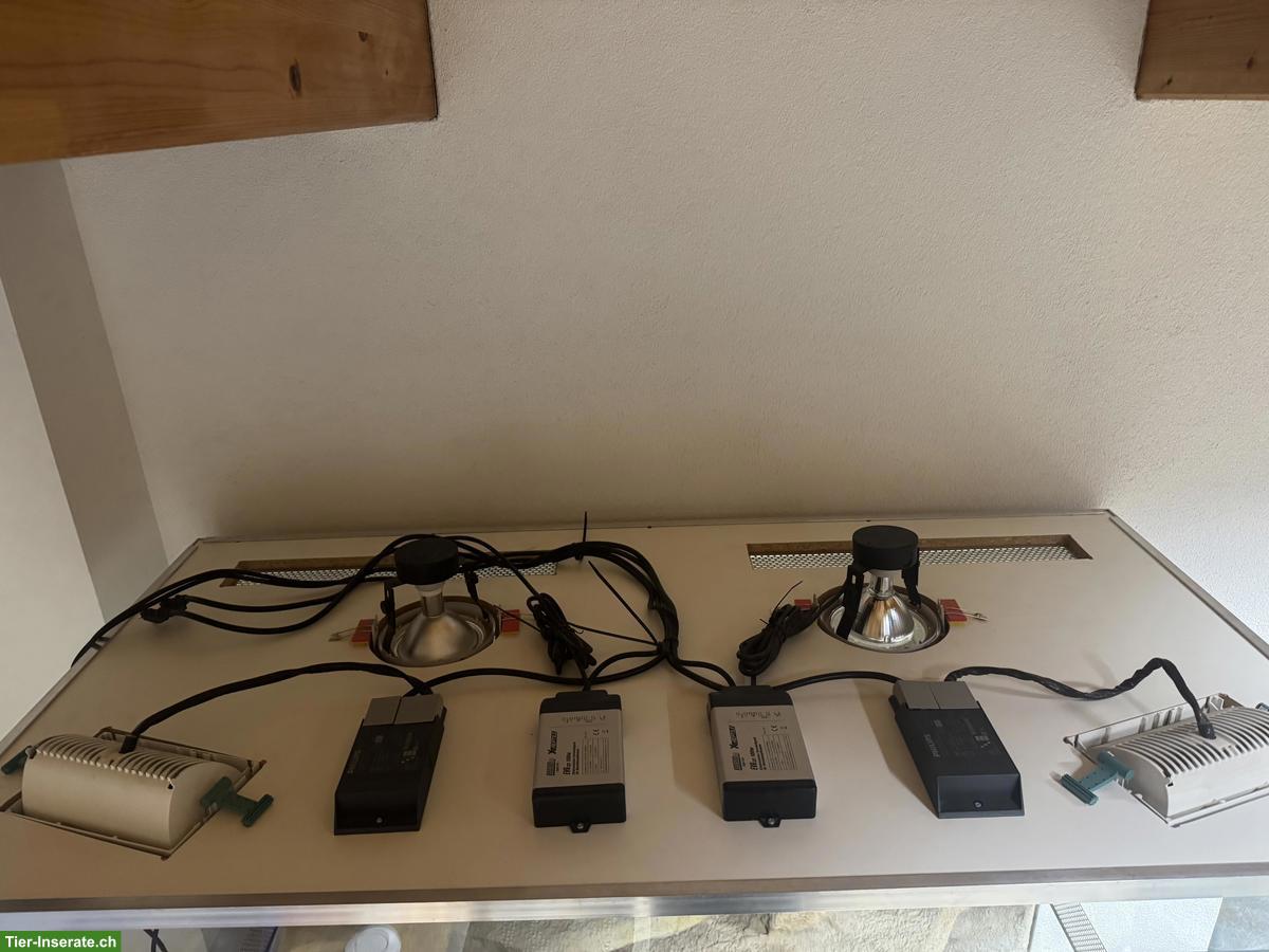 Bild 3: Exklusives Terrarium (Sonderanfertigung) zu verkaufen