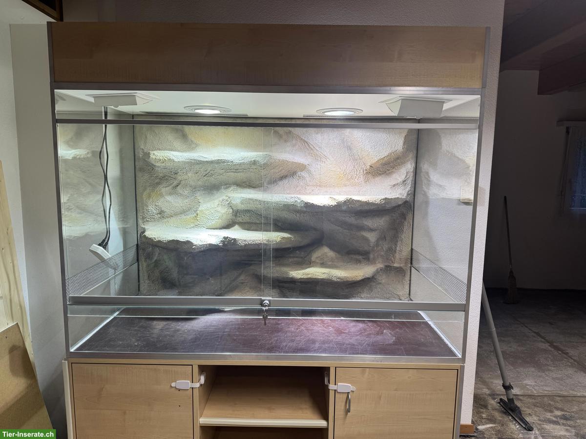 Bild 4: Exklusives Terrarium (Sonderanfertigung) zu verkaufen