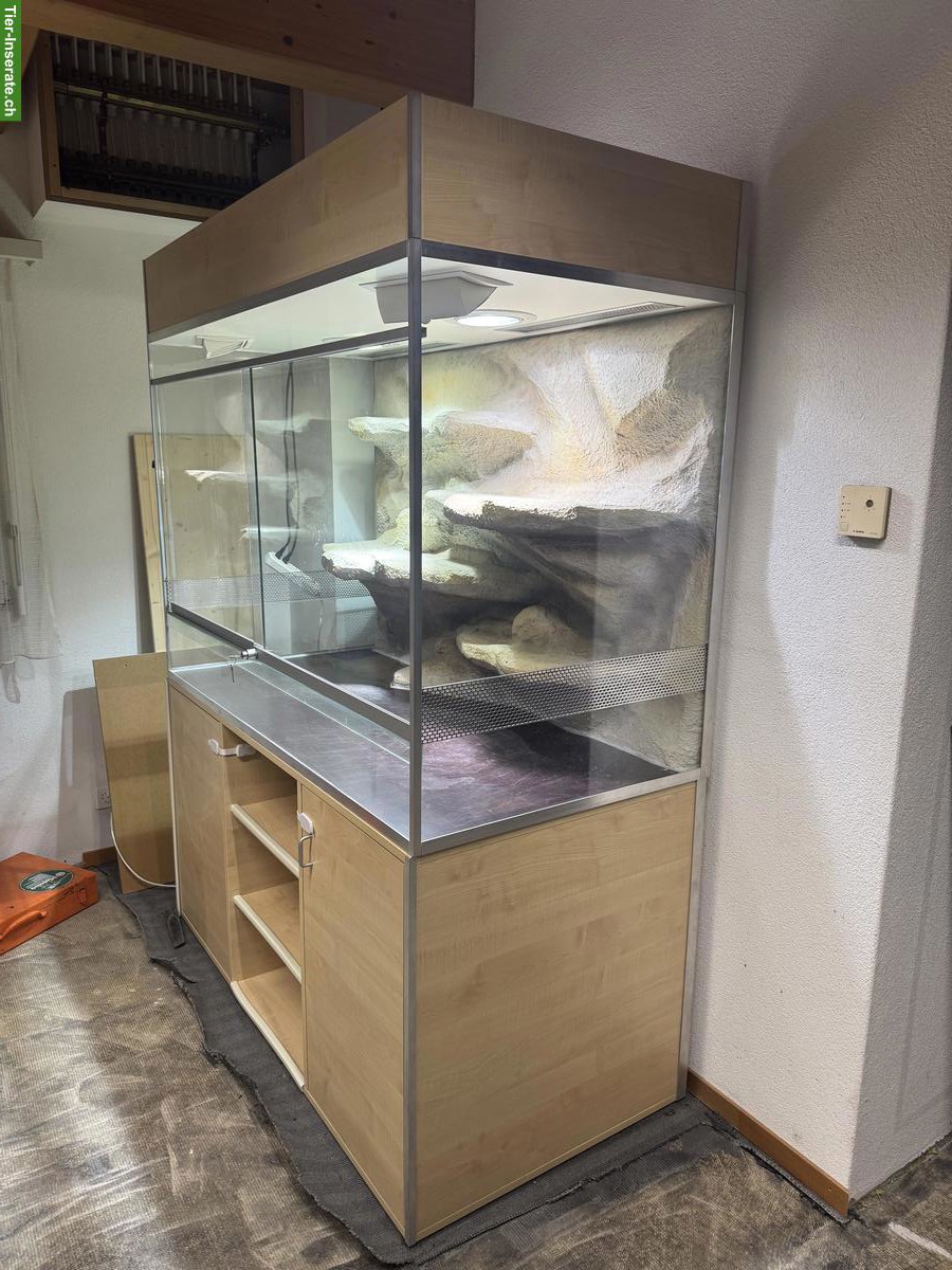 Bild 5: Exklusives Terrarium (Sonderanfertigung) zu verkaufen