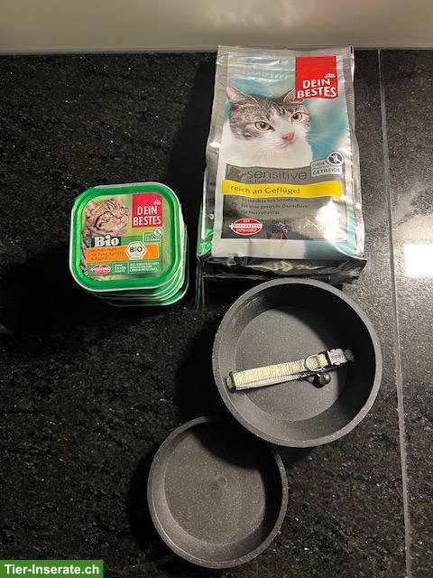 Bild 4: Kratzbaum + Katzentoilette + Katzenfutter + Transportbox