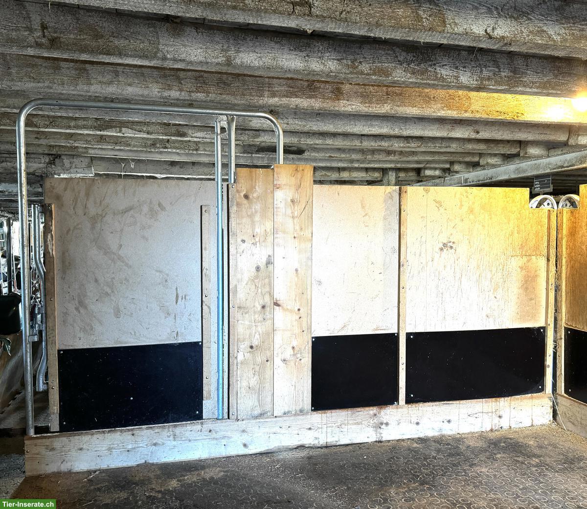 Bild 5: Pferde Panels, Notbox, Panelverbinder zu verkaufen