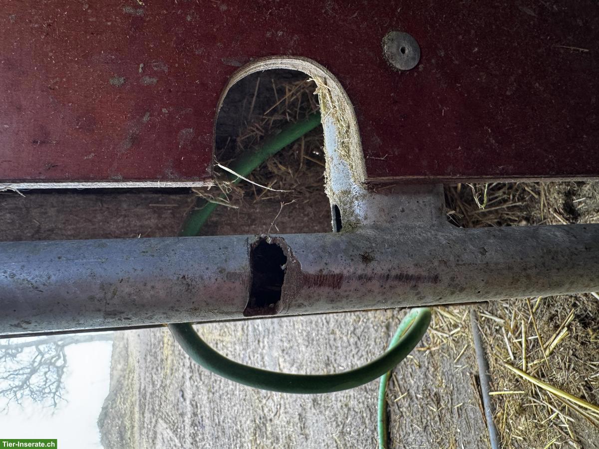 Bild 8: Pferde Panels, Notbox, Panelverbinder zu verkaufen