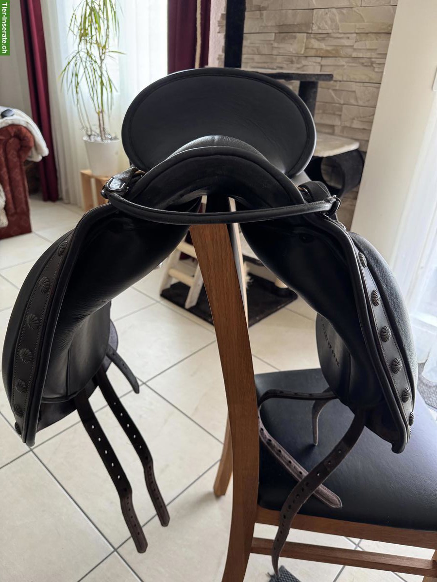 Bild 3: El Campo Sattel S3, Deuber & Partner