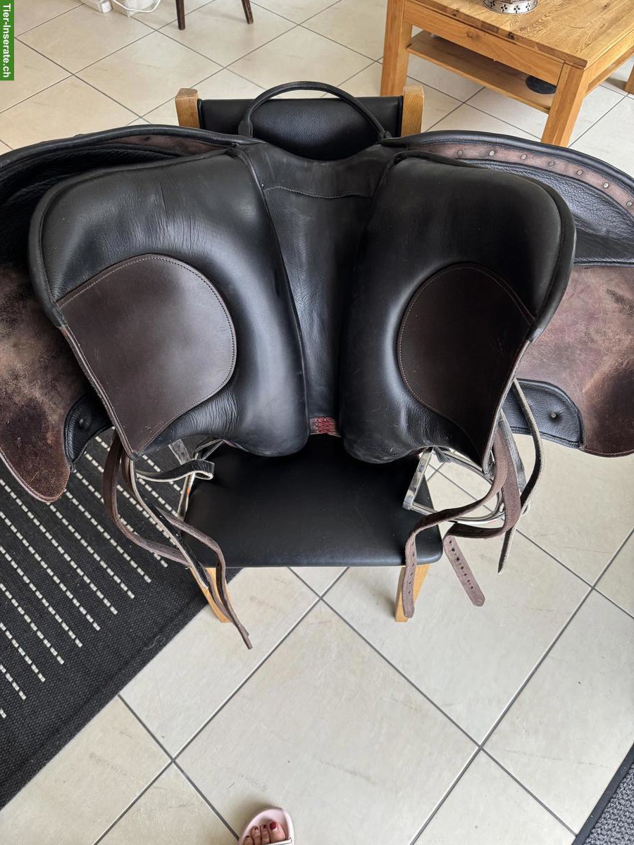 Bild 4: El Campo Sattel S3, Deuber & Partner