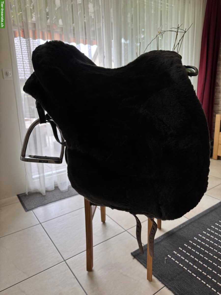 Bild 5: El Campo Sattel S3, Deuber & Partner