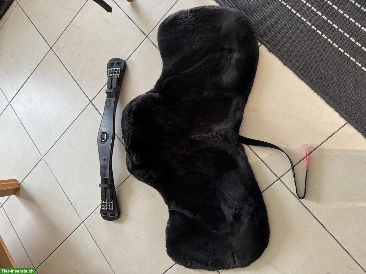 Bild 7: El Campo Sattel S3, Deuber & Partner