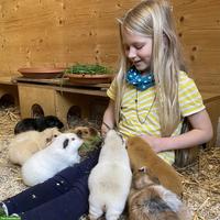 Suchen Fachperson Bildung/Tier 60-80% - GZ Wipkingen