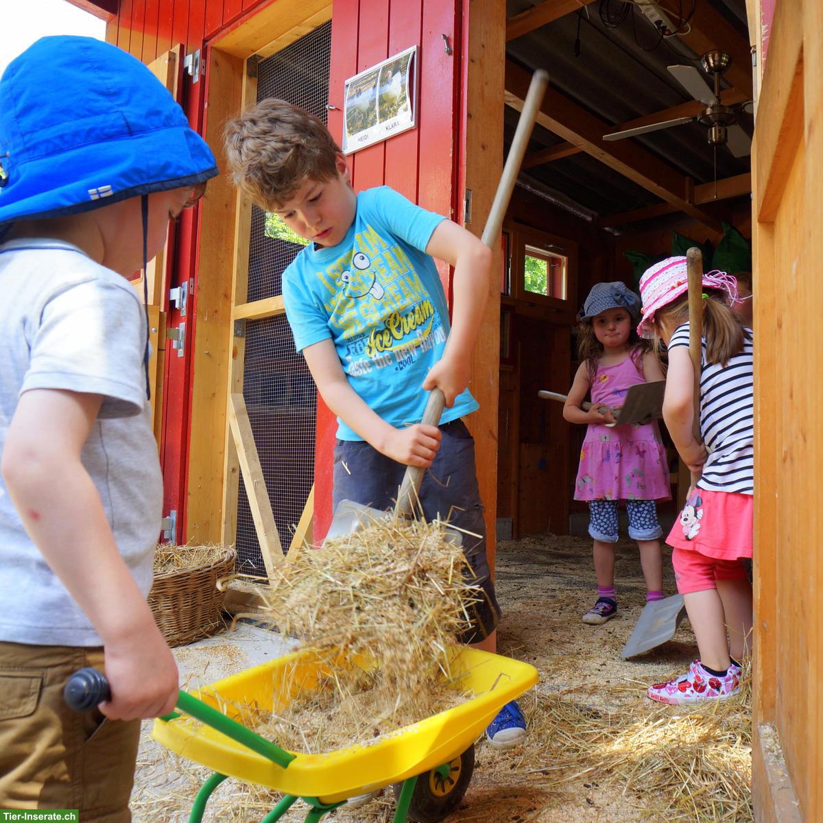 Bild 3: Suchen Fachperson Bildung/Tier 60-80% - GZ Wipkingen