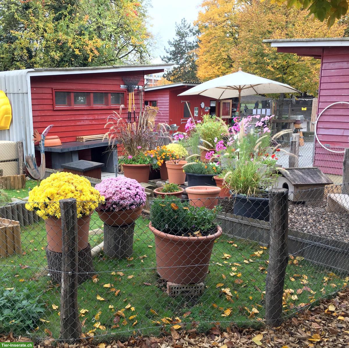 Bild 4: Suchen Fachperson Bildung/Tier 60-80% - GZ Wipkingen