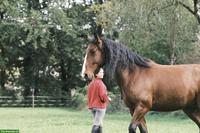 Reitbeteiligung für Lusitano Wallach in Neuwiller FR (Grenze Basel)