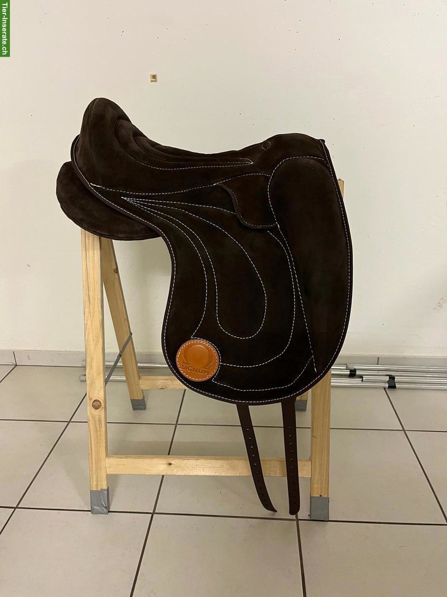 Signum Paddle L, schwarz & schoko