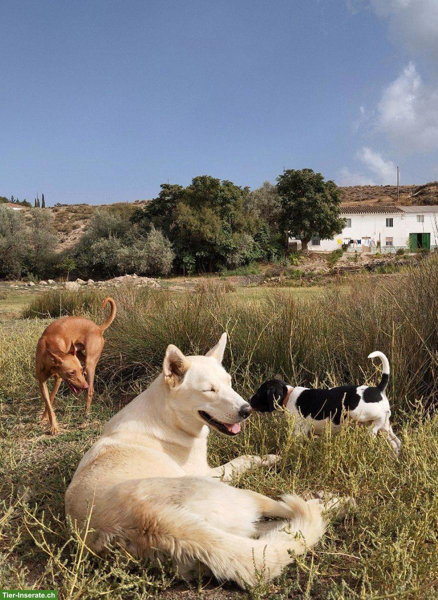 Suche Inspiration und Hilfe in Form von Wissen