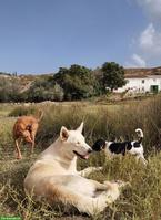 Suche Inspiration und Hilfe in Form von Wissen