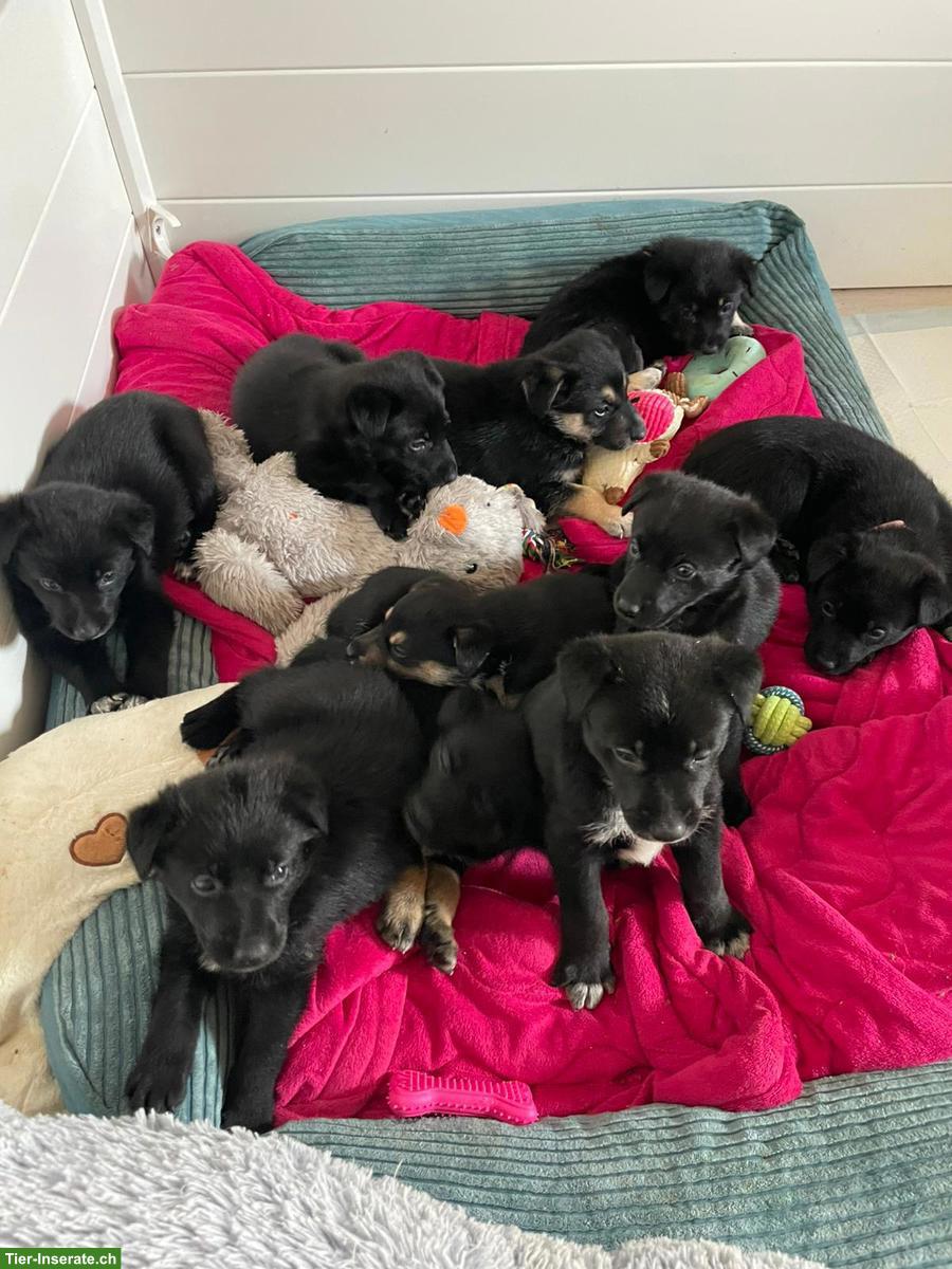 Bild 2: Suche Inspiration und Hilfe in Form von Wissen