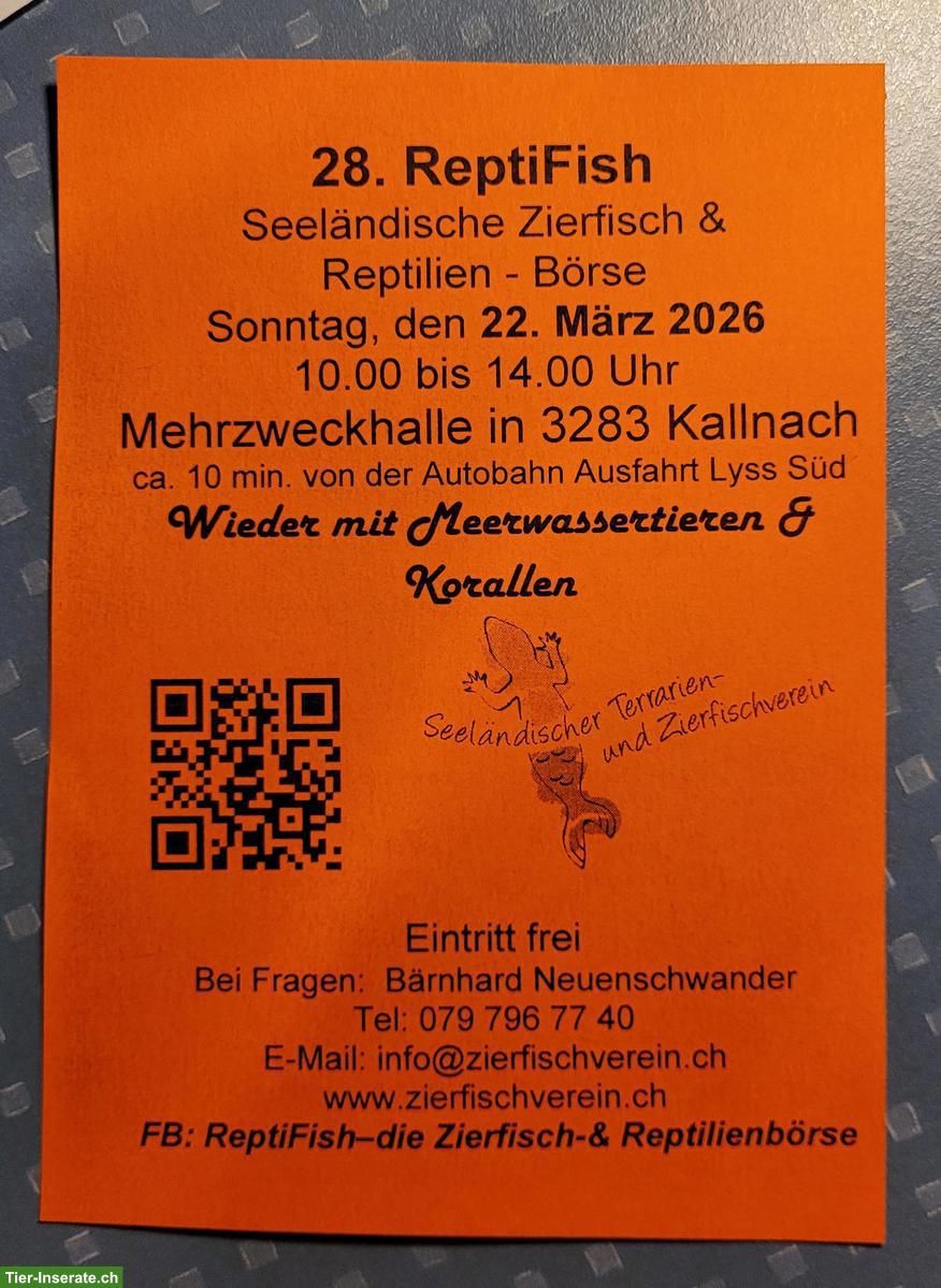 Bild 2: Seeländische Zierfisch & Reptilien - Börse