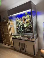 Paludarium / Terrarium komplett mit integrierter Technik
