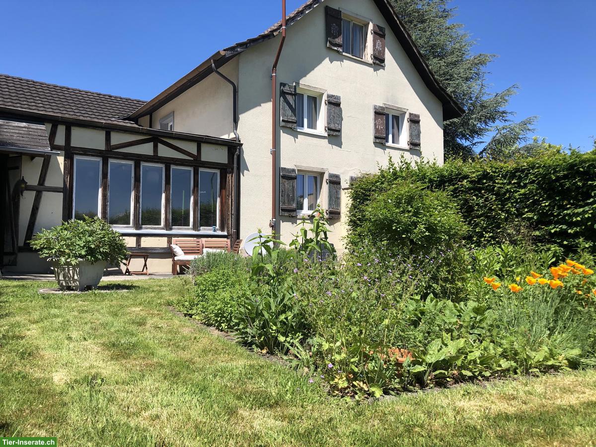 Bild 3: Liegenschaft mit Pferdestall und viel Umschwung