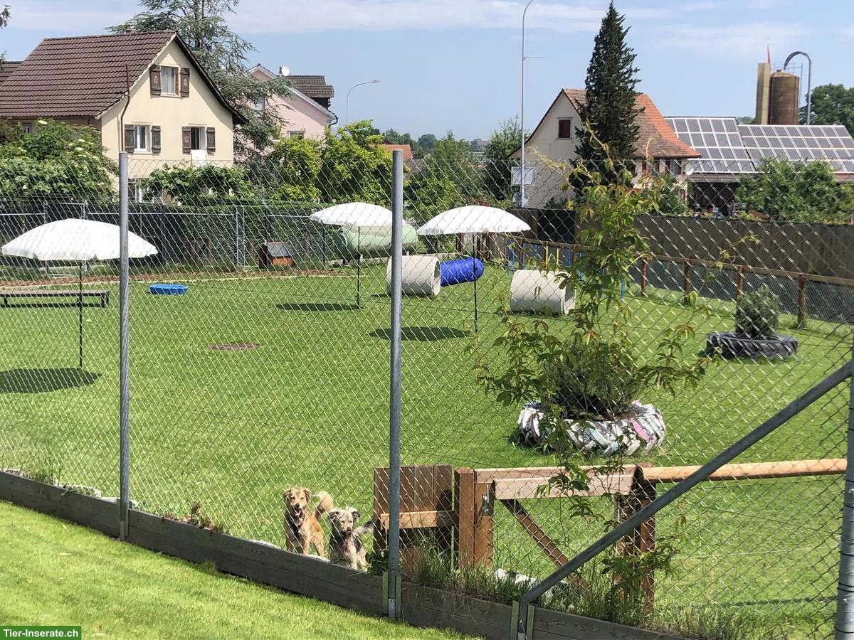 Bild 4: Liegenschaft mit Pferdestall und viel Umschwung