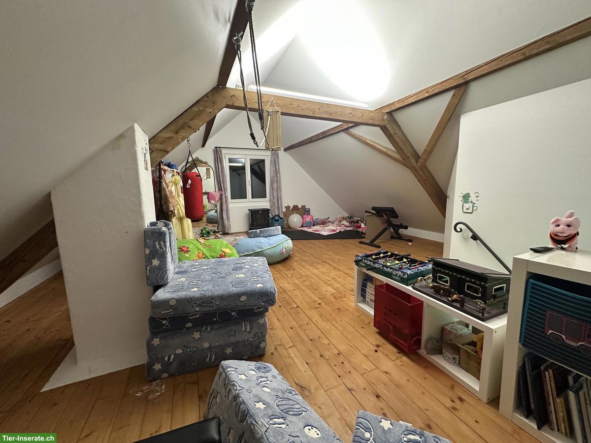 Bild 5: Liegenschaft mit Pferdestall und viel Umschwung