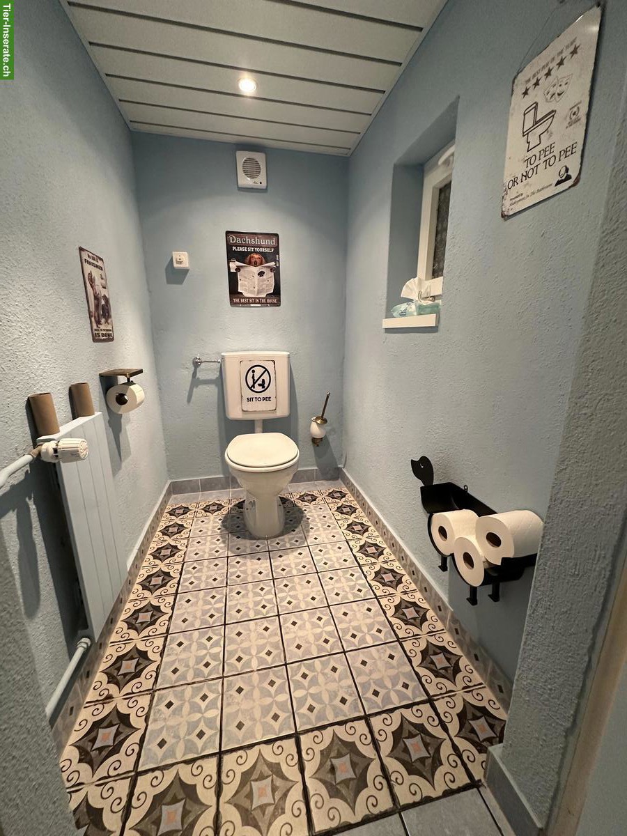 Bild 6: Liegenschaft mit Pferdestall und viel Umschwung