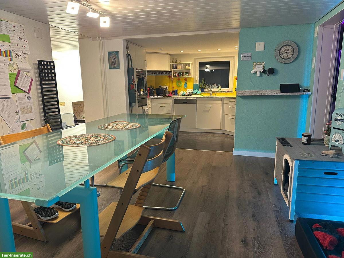 Bild 8: Liegenschaft mit Pferdestall und viel Umschwung