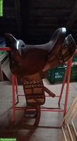 Westernsattel Big Horn, für Kleinpferde