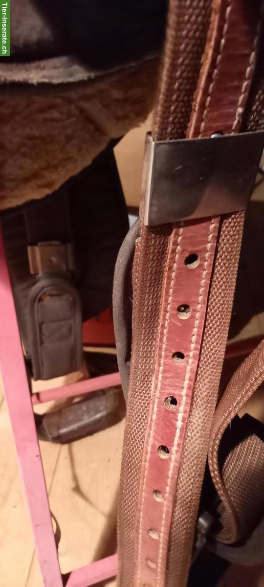 Bild 4: Westernsattel Big Horn, für Kleinpferde