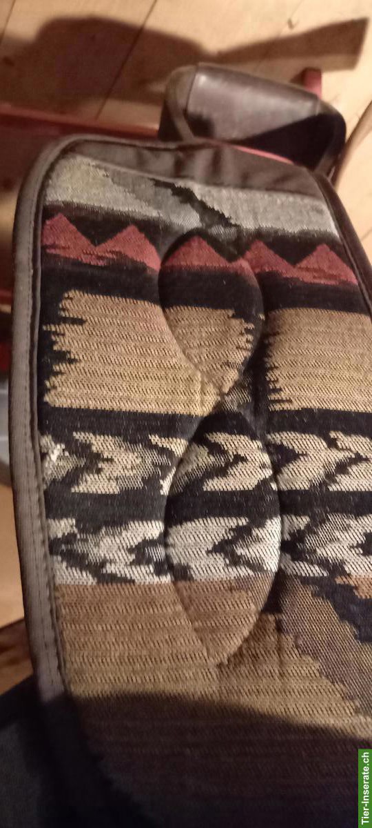 Bild 5: Westernsattel Big Horn, für Kleinpferde