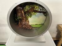 Degu Laufrad 37cm zu verkaufen