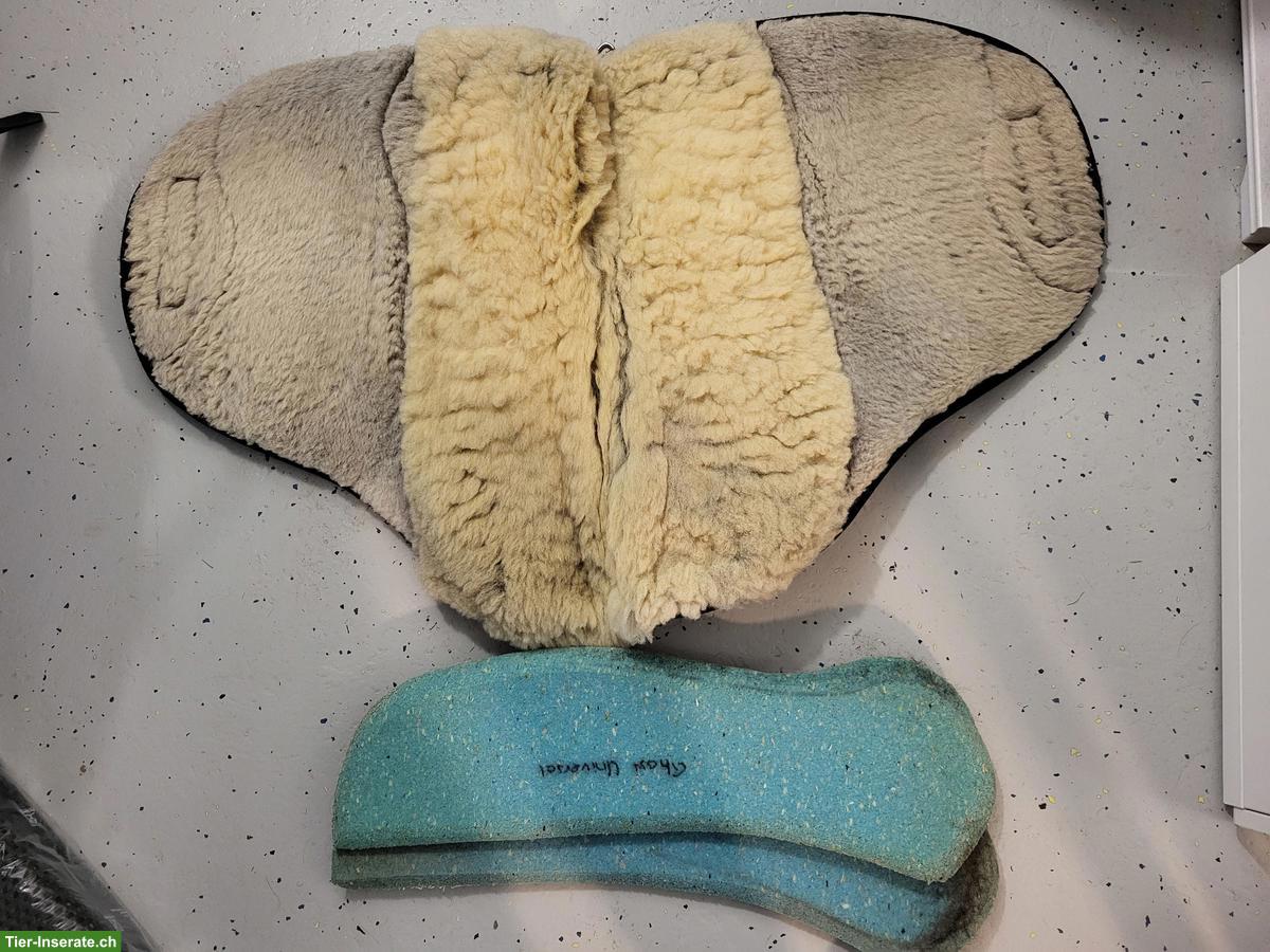 Bild 7: Baumlos Sattel Quevis von Ghost, Gr. Piccolo