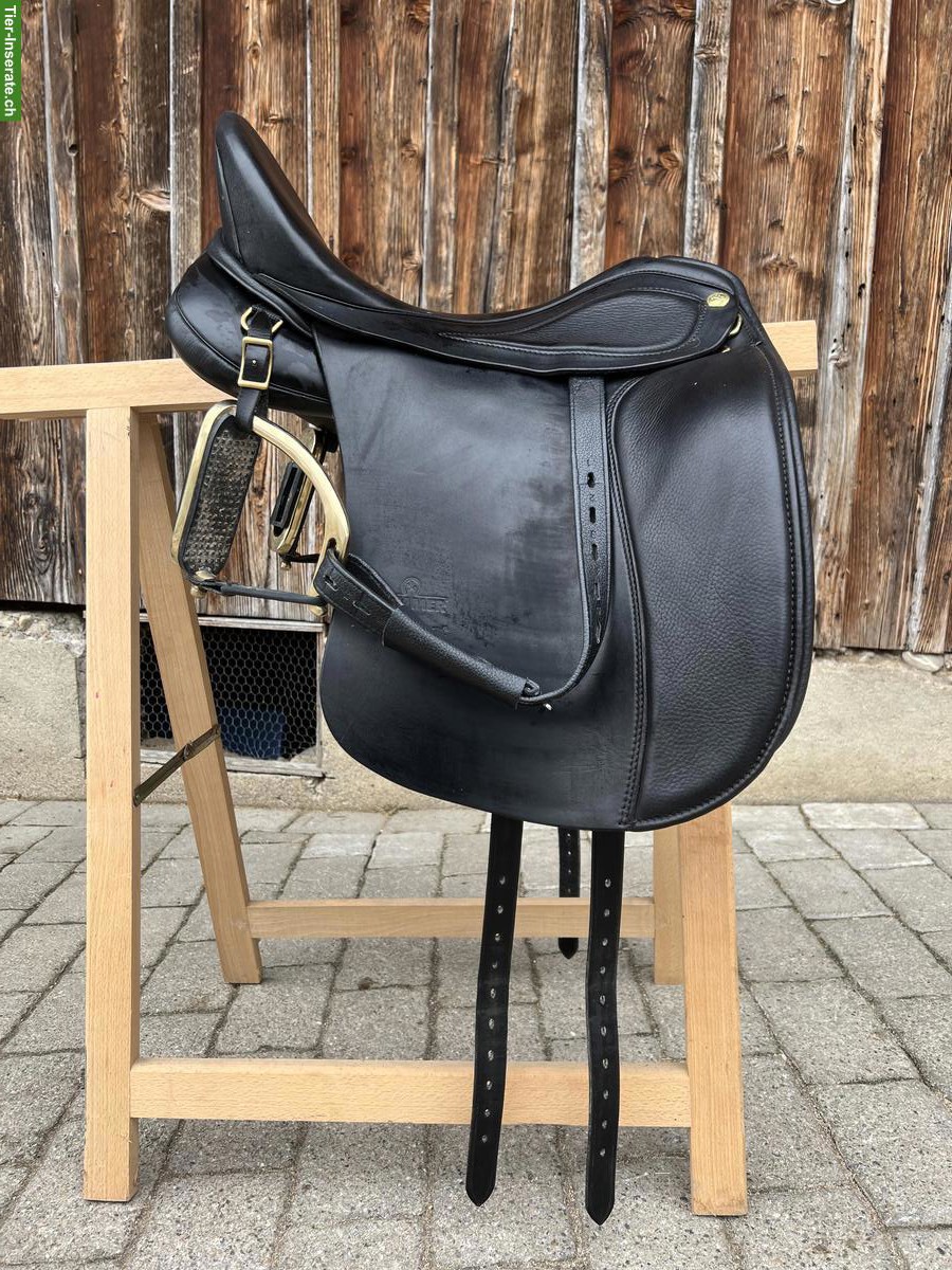 Sommer Diplomat Dressursattel 17.5 Zoll